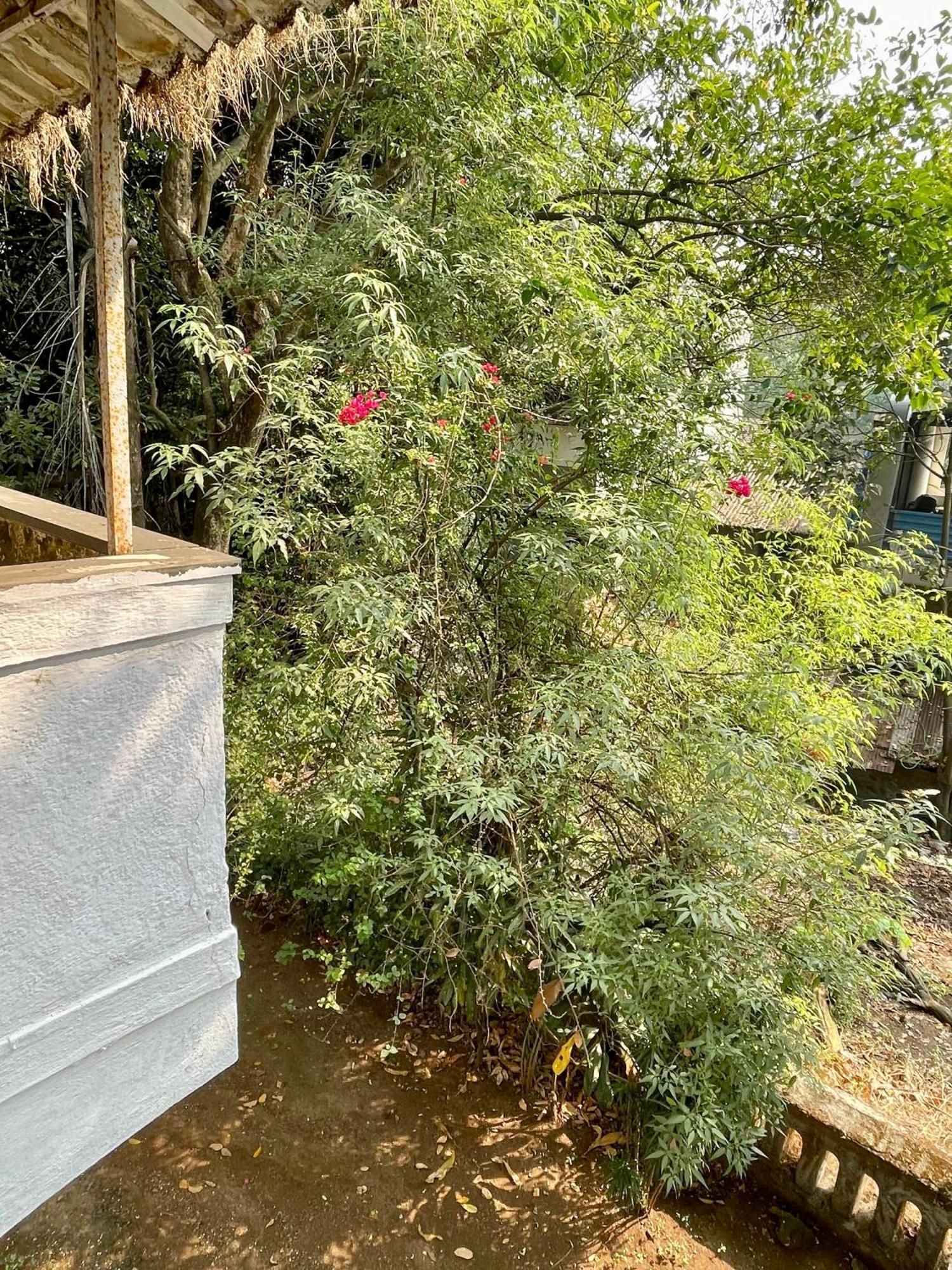 The Imperial Heritage II 2 Minutes From Station And Market II Deluxe Ac Rooms II Lonavala Ngoại thất bức ảnh